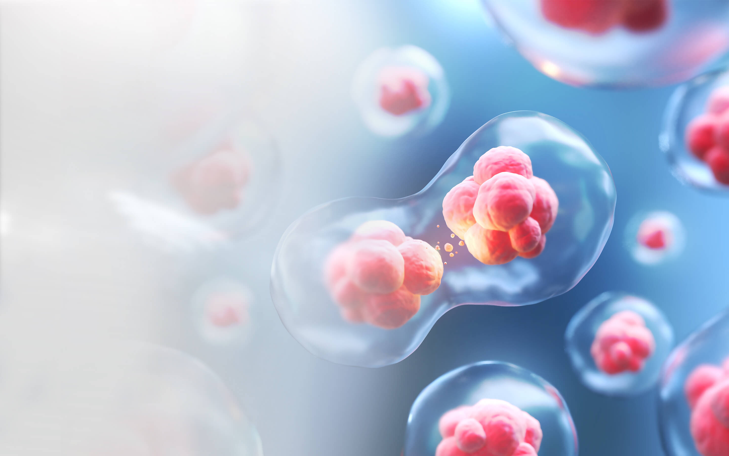 Aragen Life Sciences Together Ahead