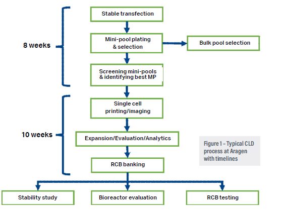 Host-Cell Proteins: Implications for Protein-Drug Efficacy - BioProcess  InternationalBioProcess International