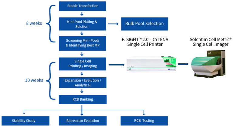 CLD Process Flow