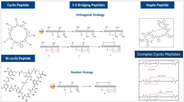 Cyclic Peptides in Drug Discovery: Enabling Better Design - Aragen Life ...